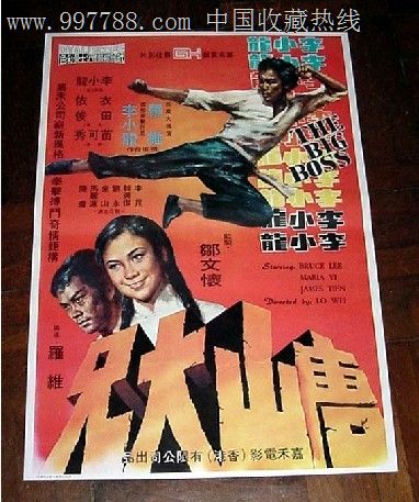 阿纳姆大学和奈梅亨大学degree certificate
